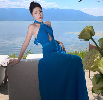 Alluring Hollow-Out Pressed Pleat Maxi Dress Chic Backless Scenic Vacays Halter Long Dress AP1234