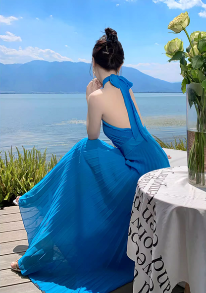 Alluring Hollow-Out Pressed Pleat Maxi Dress Chic Backless Scenic Vacays Halter Long Dress AP1234