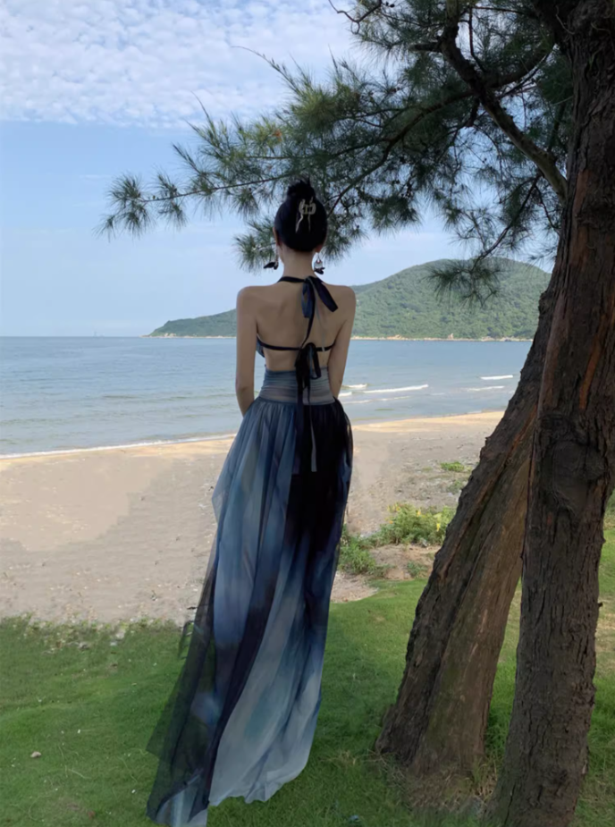 Edgy Coastal Shoots Flowy High Slit Maxi Dress Gradient Mesh Backless Halter Long Dress AP1294