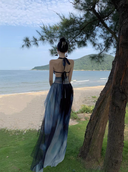 Edgy Coastal Shoots Flowy High Slit Maxi Dress Gradient Mesh Backless Halter Long Dress AP1294