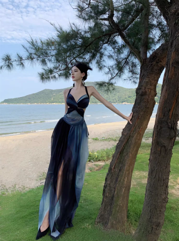 Edgy Coastal Shoots Flowy High Slit Maxi Dress Gradient Mesh Backless Halter Long Dress AP1294