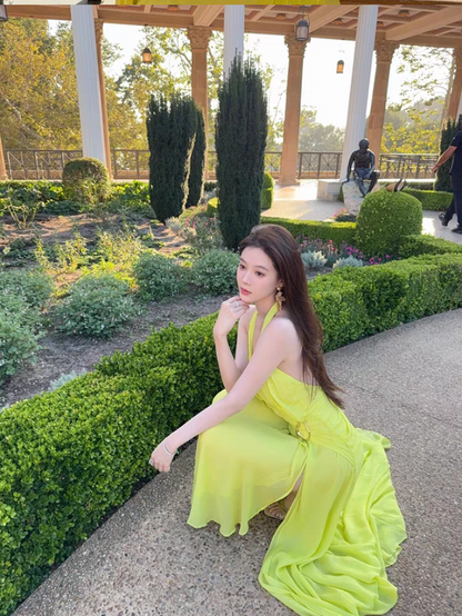 Novelty Yellow High Slit Maxi Dress Vibrant Flowy Backless Natural Draped Halter Long Dress AP1312
