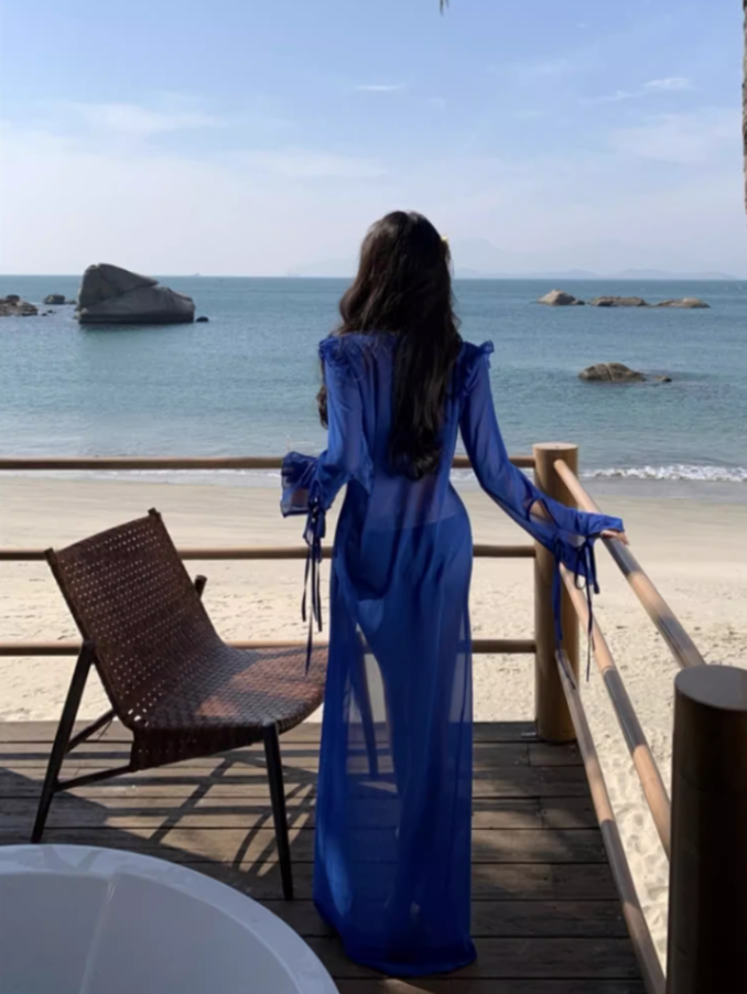 Elegant Long Mesh Sleeve Maxi Dress Beach Pool Outfit Sheer Cover Up Long Dress AP1330