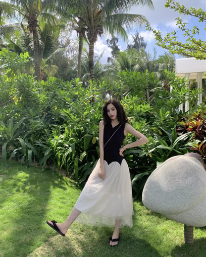 Classical Black & White Splicing Maxi Dress Chic Sleeveless Cascade Tulle Long Dress AP1334