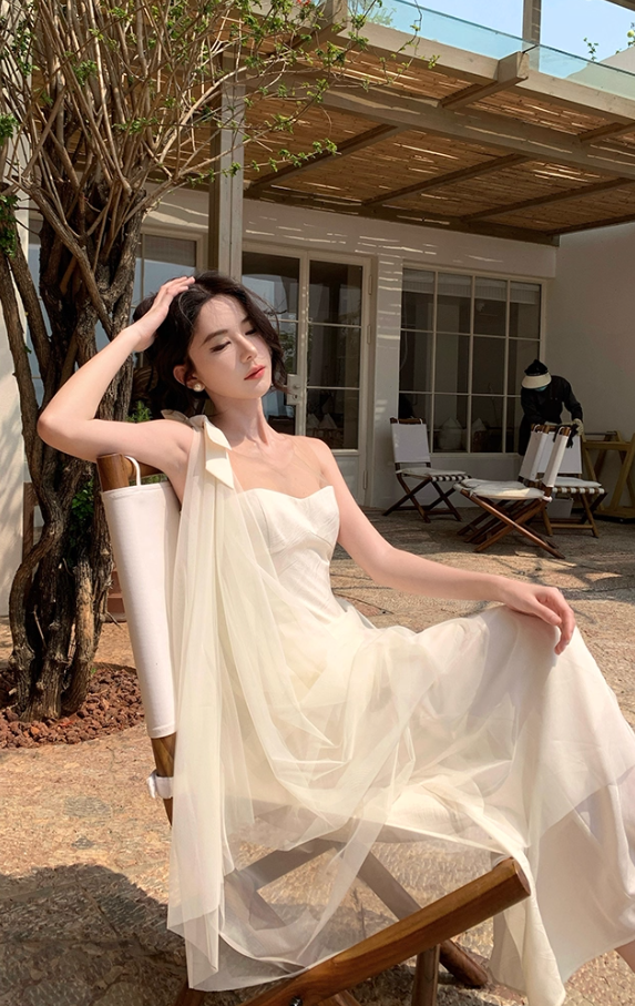 Graceful Sheer Tulle Splicing Maxi Dress Niche Sheath Open-Waist Flowy Mesh Trimmed Long Dress AP1368