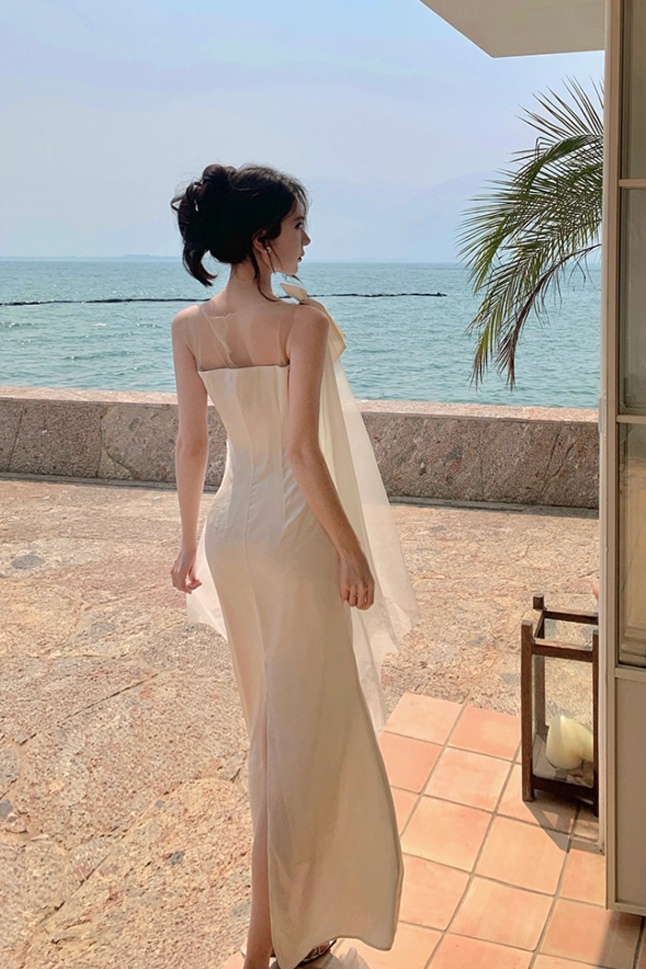 Graceful Sheer Tulle Splicing Maxi Dress Niche Sheath Open-Waist Flowy Mesh Trimmed Long Dress AP1368