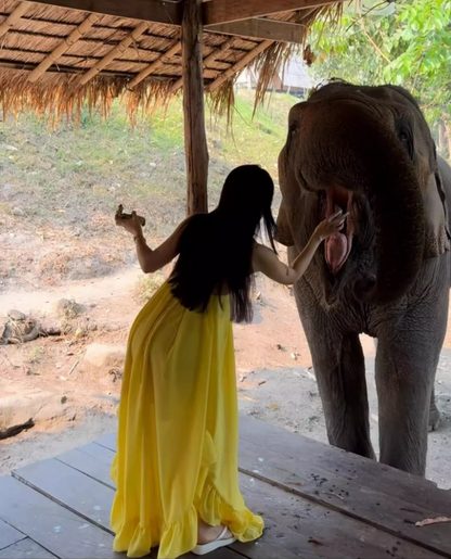 Vibrant Asymmetric Ruffles Hem Yellow Maxi Dress Y2K Beach Core Spaghetti Strap Loose Fit Long Dress AP1428