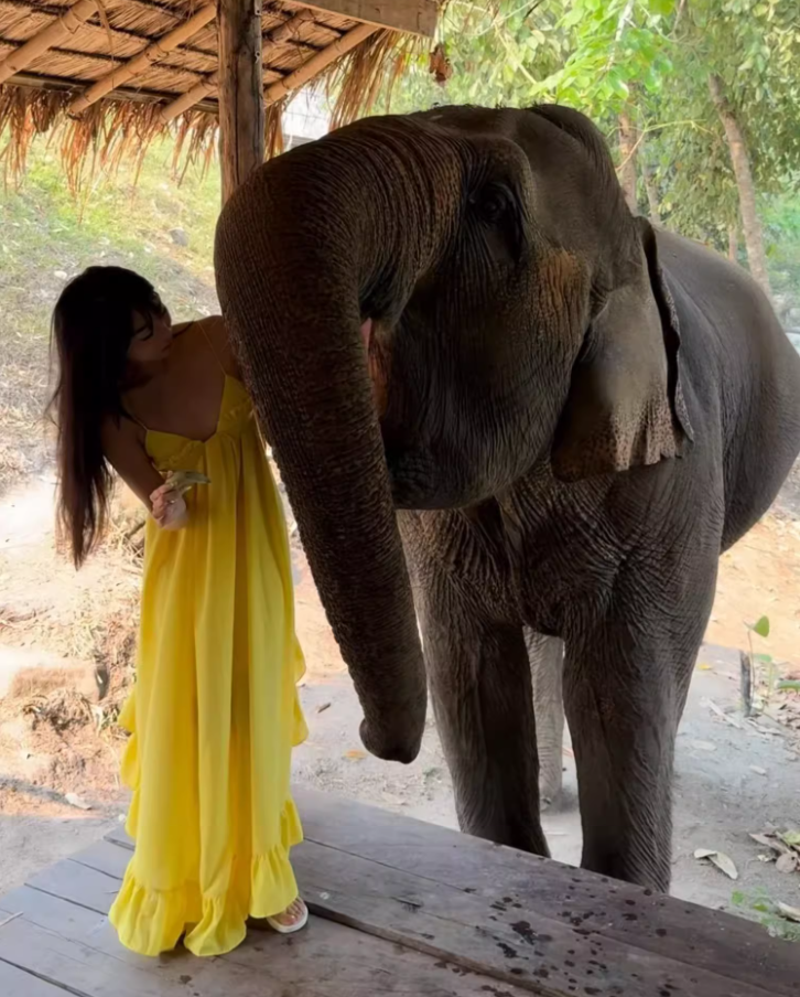 Vibrant Asymmetric Ruffles Hem Yellow Maxi Dress Y2K Beach Core Spaghetti Strap Loose Fit Long Dress AP1428