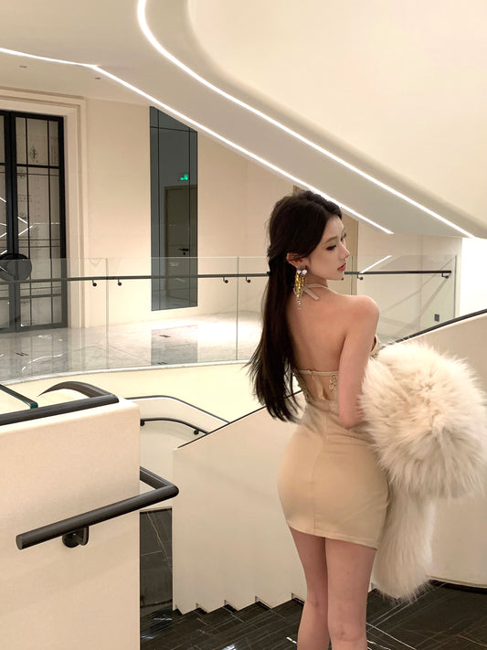 Stylish Lace Applique Asymmetric Hem Mini Skirt Chic Backless Bodycon Sheer Mesh Splicing Halter Short Dress AP1865