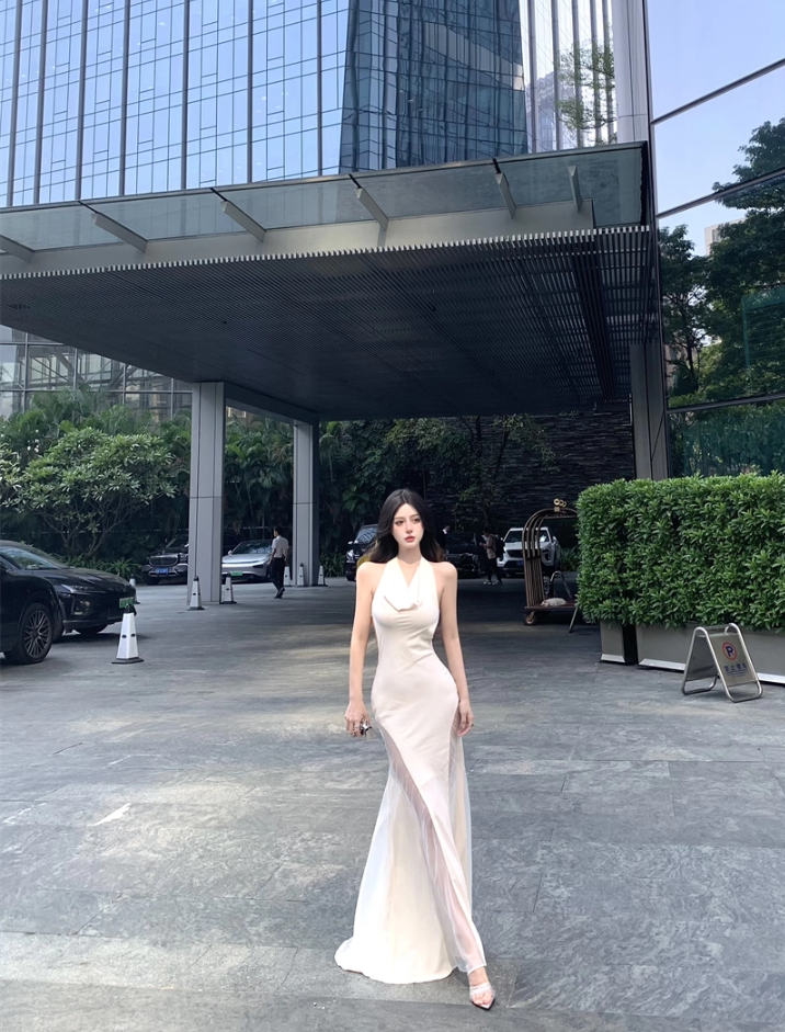 Elegant High Sheer Slit Tulle Splicing Maxi Dress Novelty Open Back Flowing Silhouette Night Parties Halter Long Dress AP1988