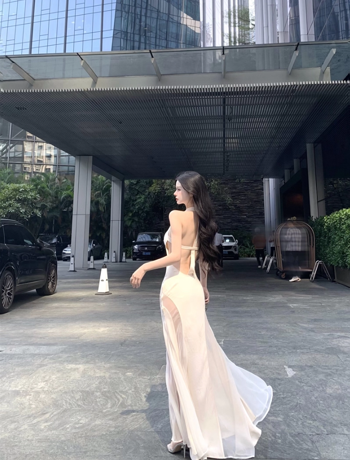 Elegant High Sheer Slit Tulle Splicing Maxi Dress Novelty Open Back Flowing Silhouette Night Parties Halter Long Dress AP1988