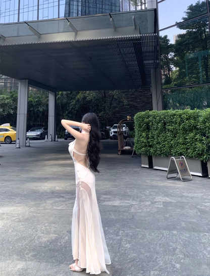 Elegant High Sheer Slit Tulle Splicing Maxi Dress Novelty Open Back Flowing Silhouette Night Parties Halter Long Dress AP1988