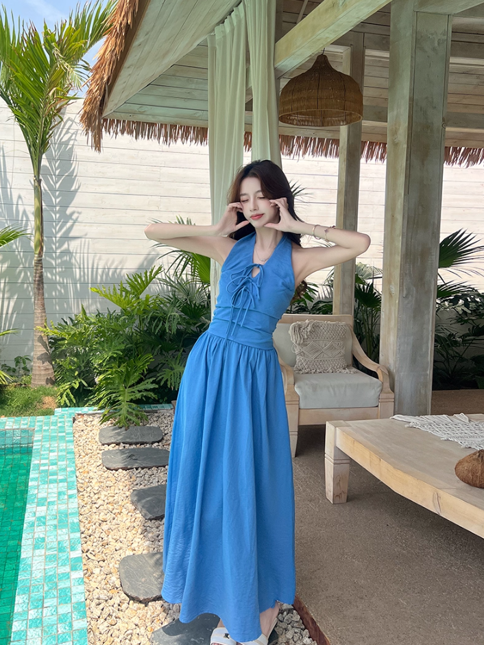 Vibrant Lace-Up Front Tie-Back Maxi Dress Romantic Blue Flowy High-Waist Halter Long Dress AP2061