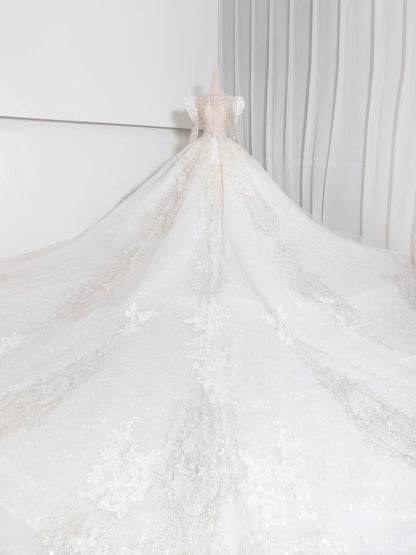 Ethereal A-Line A-Line Bridal Gowns Beading Sequins Puffy Long Sleeve Wedding Dress AP2383