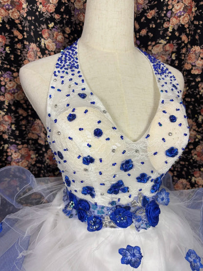 Luxurious Halter Neck A-Line Evening Gowns Backless Sequins Appliques Beaded Prom Dress AP2433