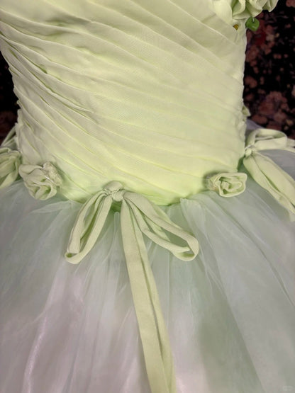 Novelty One-Shoulder A-Line Evening Gowns Sequins Bow Handmade Flowers Rhinestone Prom Dress AP2449