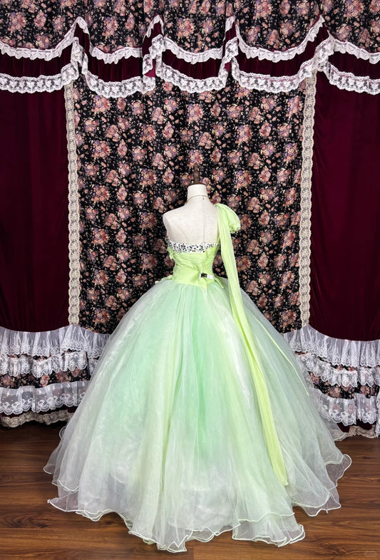 Novelty One-Shoulder A-Line Evening Gowns Sequins Bow Handmade Flowers Rhinestone Prom Dress AP2449