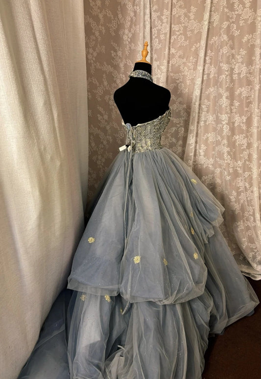 Princess Strapless A-Line Evening Gowns Rhinstones Appliques Tulle Prom Dress AP3023