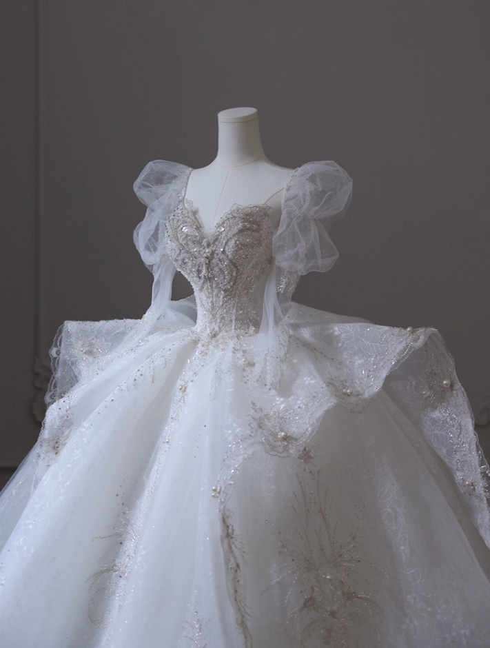 Elegant A-Line V Neck Bridal Gowns Beading Appliques Long Sleeve Wedding Dress AP3146