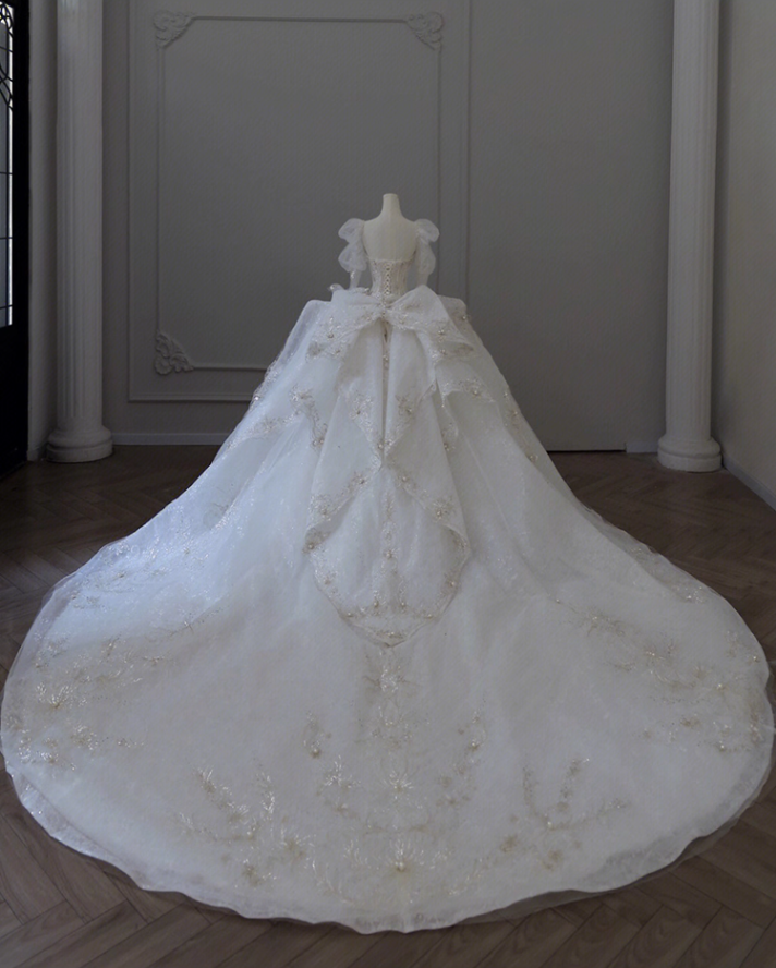 Elegant A-Line V Neck Bridal Gowns Beading Appliques Long Sleeve Wedding Dress AP3146