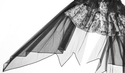 Artistic Spaghetti Strap A-Line Birthday Dress Jacquard Beads Leather Tulle Homecoming Dress AP3203