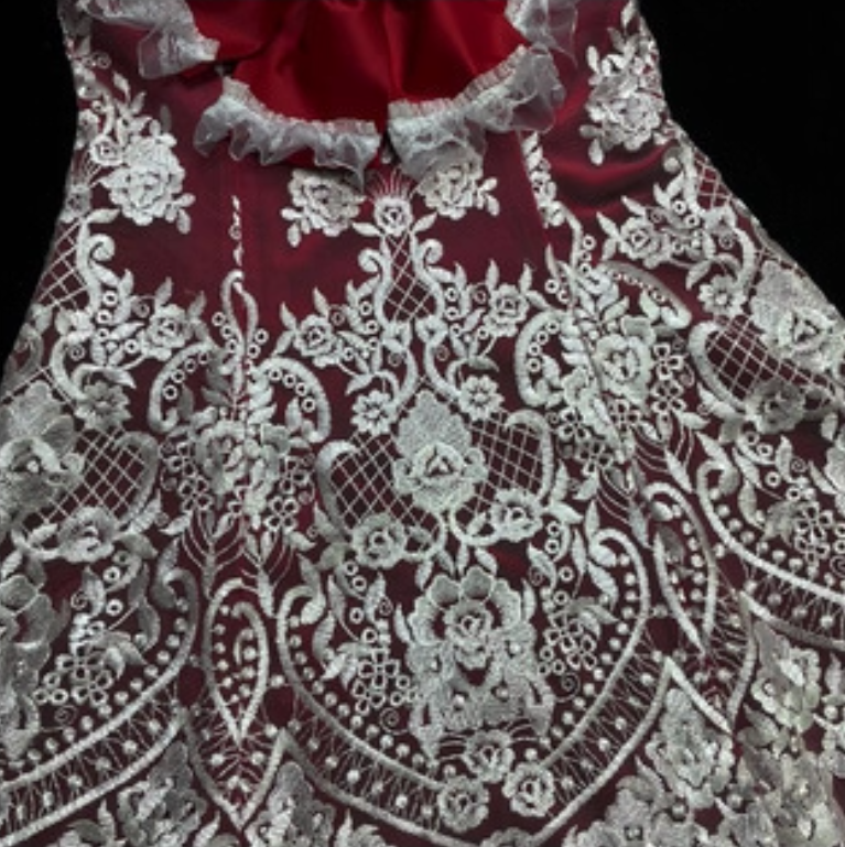 Charming Spaghetti Straps A-Line Birthday Gowns Bow Feather Lace Red Homecoming Dress AP3219