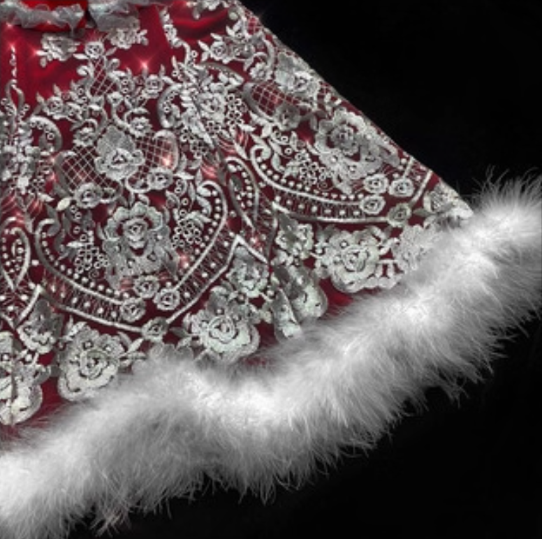 Charming Spaghetti Straps A-Line Birthday Gowns Bow Feather Lace Red Homecoming Dress AP3219