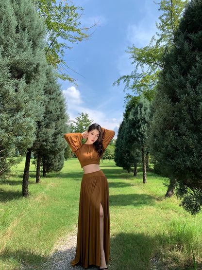 Simple A-Line 2-Piece Set Jewel Neck Maxi Dress Fashionable Long Sleeve Open Waist High Slit Long Dress AP3294