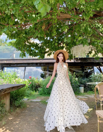 Vogue Halter Neck A-Line Maxi Dress Chic Polka Dots Asymmetric Hem Long Dress AP3322