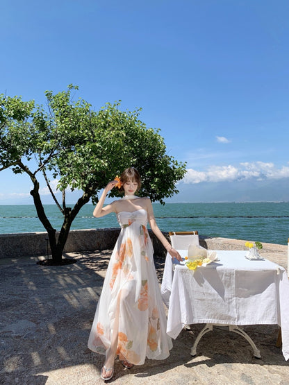 Graceful A-Line Halter Neck Slit Maxi Dress With Lining Princess  Asymmetric Hem Floral Print Long Dress AP3340