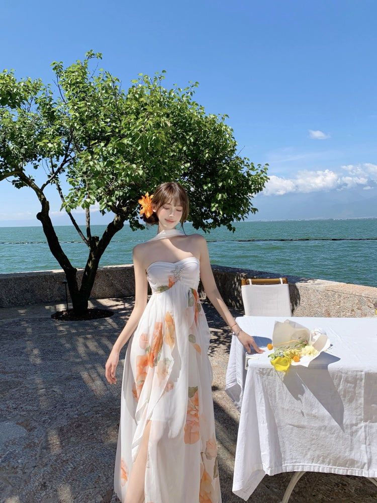 Graceful A-Line Halter Neck Slit Maxi Dress With Lining Princess  Asymmetric Hem Floral Print Long Dress AP3340