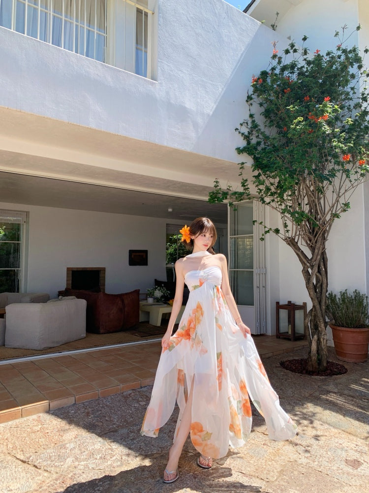 Graceful A-Line Halter Neck Slit Maxi Dress With Lining Princess  Asymmetric Hem Floral Print Long Dress AP3340