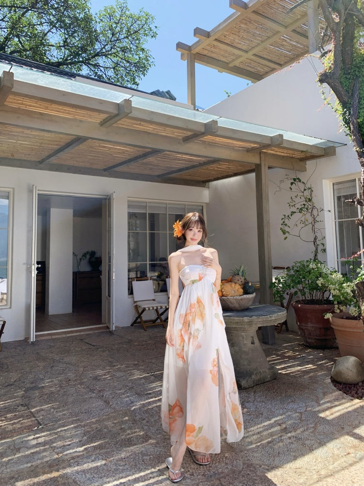 Graceful A-Line Halter Neck Slit Maxi Dress With Lining Princess  Asymmetric Hem Floral Print Long Dress AP3340