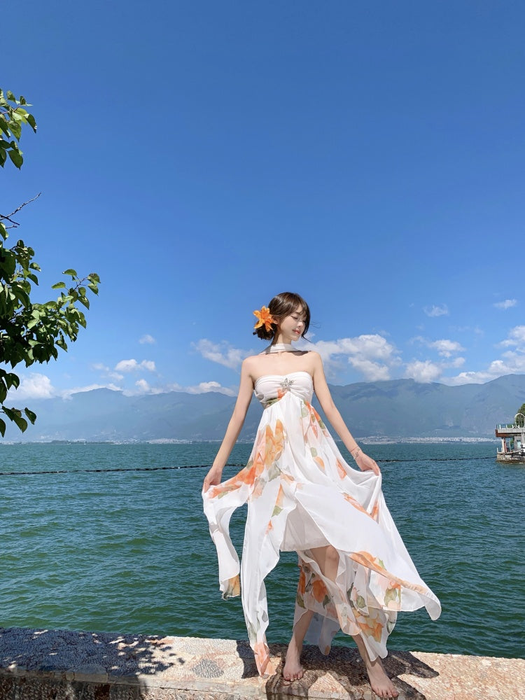 Graceful A-Line Halter Neck Slit Maxi Dress With Lining Princess  Asymmetric Hem Floral Print Long Dress AP3340