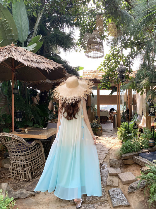 Delicate Floral Accent Spaghetti Strap A-Line Maxi Dress Fancy Flowy Loose Fit Ombre Long Dress AP3384