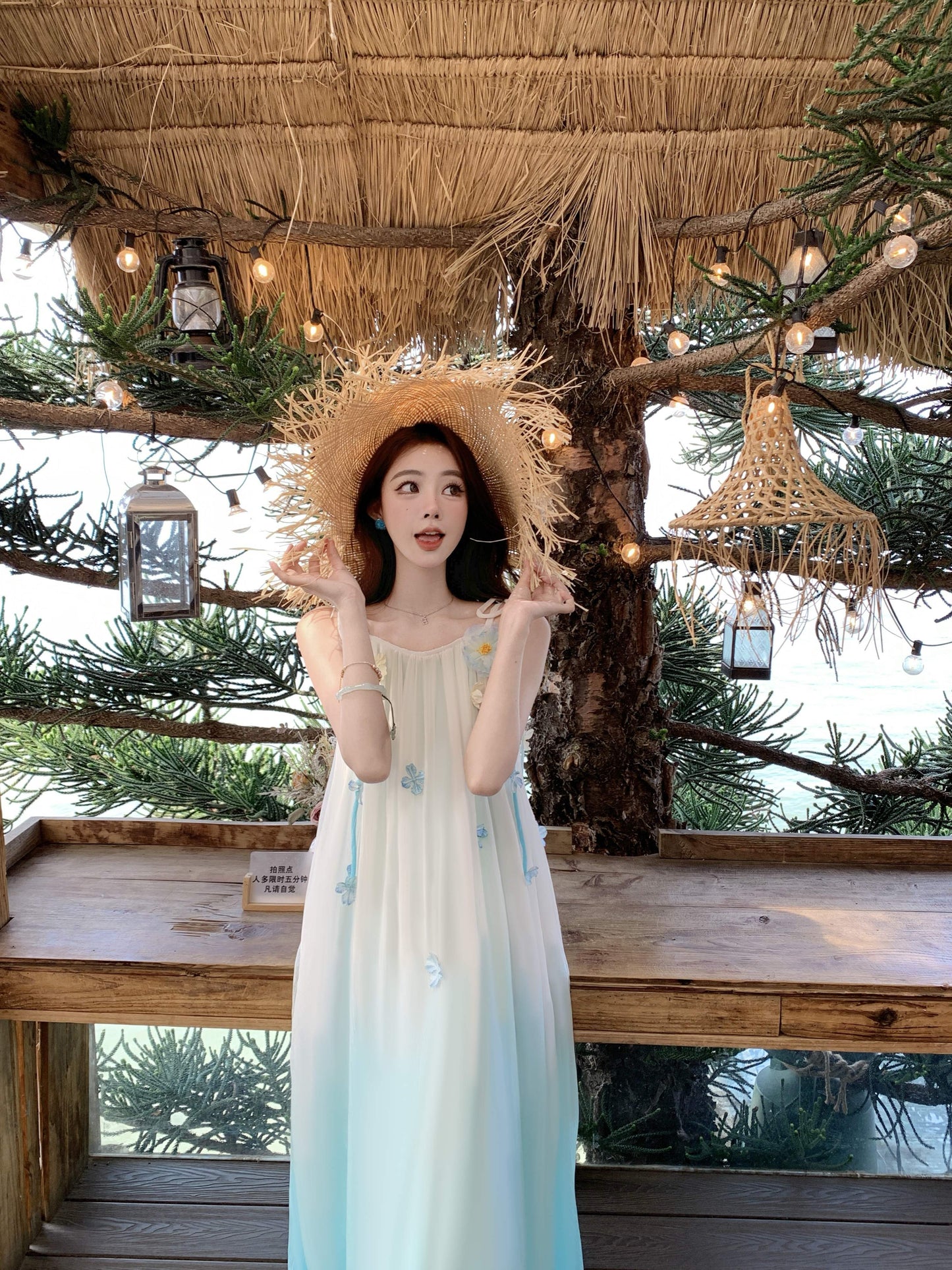 Delicate Floral Accent Spaghetti Strap A-Line Maxi Dress Fancy Flowy Loose Fit Ombre Long Dress AP3384