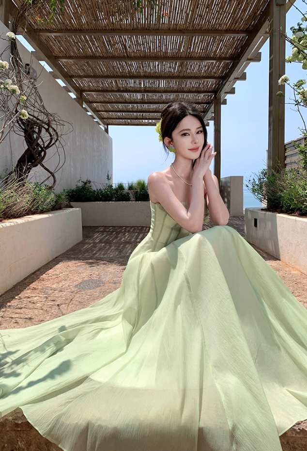 Attractive Ruffles Spaghetti Strap A-Line Maxi Dress Sexy Cinched-Waist Tulle Long Dress AP3389