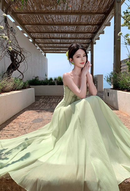 Attractive Ruffles Spaghetti Strap A-Line Maxi Dress Sexy Cinched-Waist Tulle Long Dress AP3389