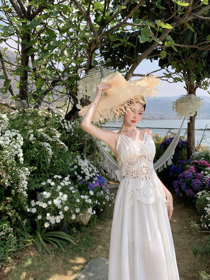 Fascinating A-Line Halter Neck Maxi Dress Glorious Lace Cutout Backless Tie-Back Long Dress AP3399