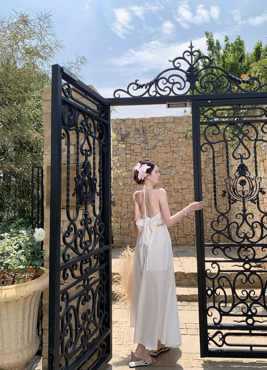 Fascinating A-Line Halter Neck Maxi Dress Glorious Lace Cutout Backless Tie-Back Long Dress AP3399