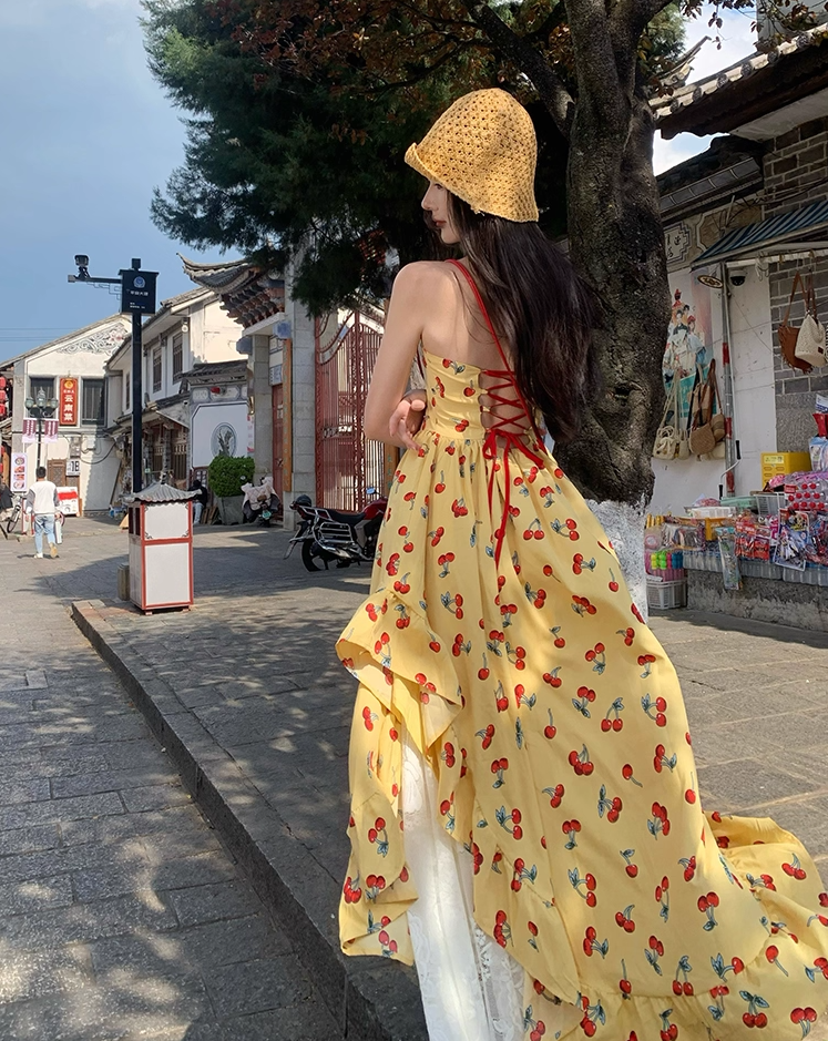 Appealing A-Line Halter Neck Cherry Print Maxi Dress Glorious 3D Floral Accent 2-Piece Set Lace Tulle Skirt Long Dress AP3400