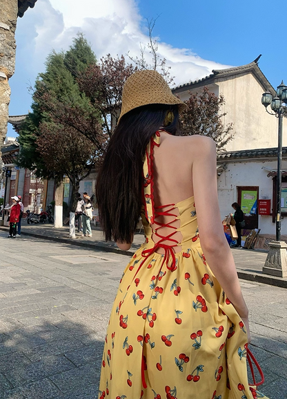 Appealing A-Line Halter Neck Cherry Print Maxi Dress Glorious 3D Floral Accent 2-Piece Set Lace Tulle Skirt Long Dress AP3400