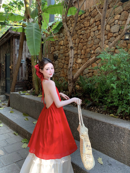 Wonderful A-Line Halter Neck Maxi Dress Fascinating Backless 2-Piece Set Long Dress AP3402