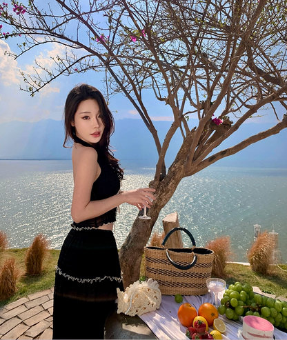 French Style 2-Piece Set A-Line Maxi Dress Fancy V-Neck Lace Trim Tiered Tulle Black Long Dress AP3435