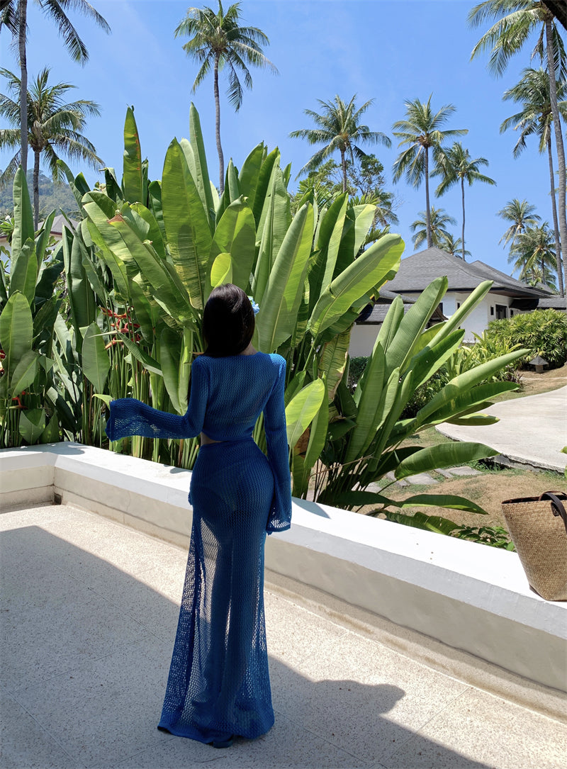 Gorgeous Long Sleeve Sheath Mesh Blue Maxi Dress Hottie V Neck Beach Pool Outfit Cutout Cover Up High-Slit Long Dress AP3442
