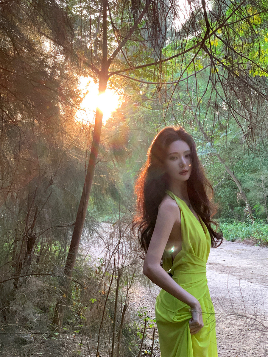 Splendid A-Line V-Neck Cinched-Waist Maxi Dress Vogue Shoots Backless High-Slit Halter Long Dress AP3461