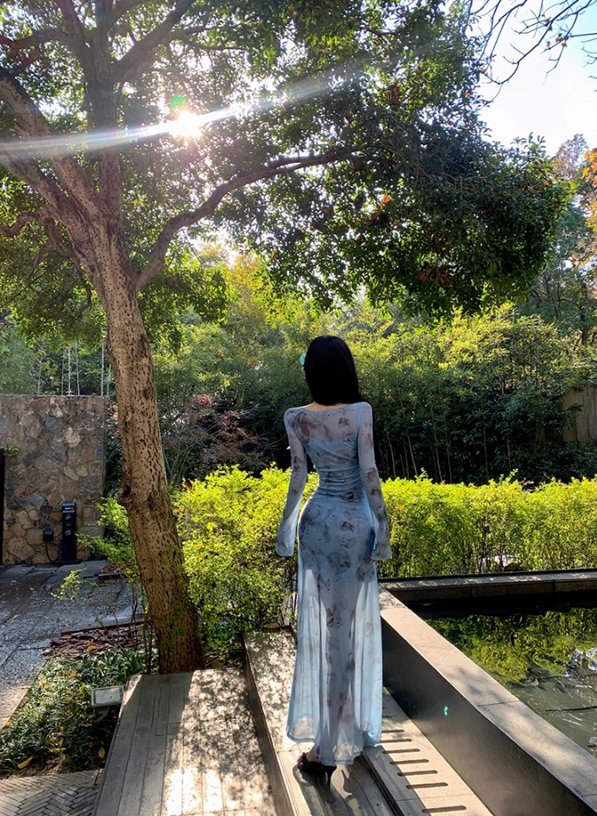 Superb V-Neck Long Bell-Sleeve Floral Print Maxi Dress Hottie Cutout Sheer Tulle Sheath Long Dress AP3466