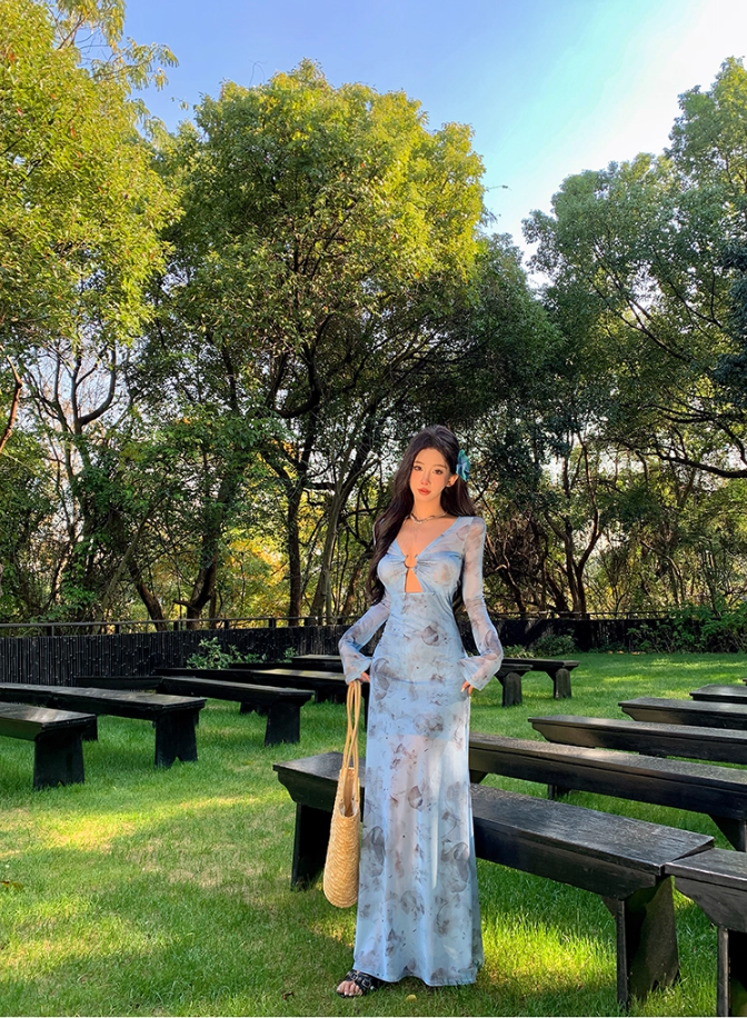 Superb V-Neck Long Bell-Sleeve Floral Print Maxi Dress Hottie Cutout Sheer Tulle Sheath Long Dress AP3466