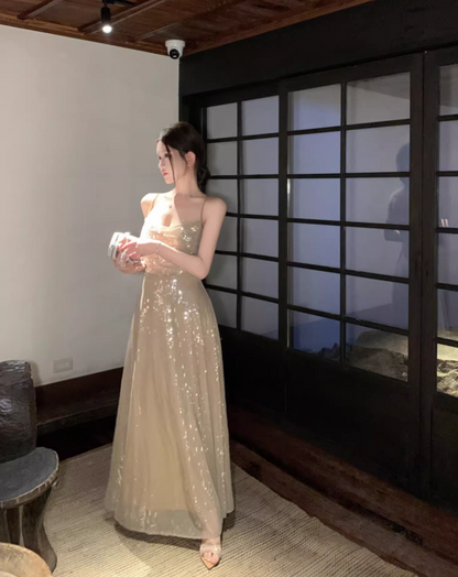 Sheen A-Line Spaghetti Straps Sequins Design Maxi Dress Sparkly Ruched Evening Outfit Long Dress AP3514