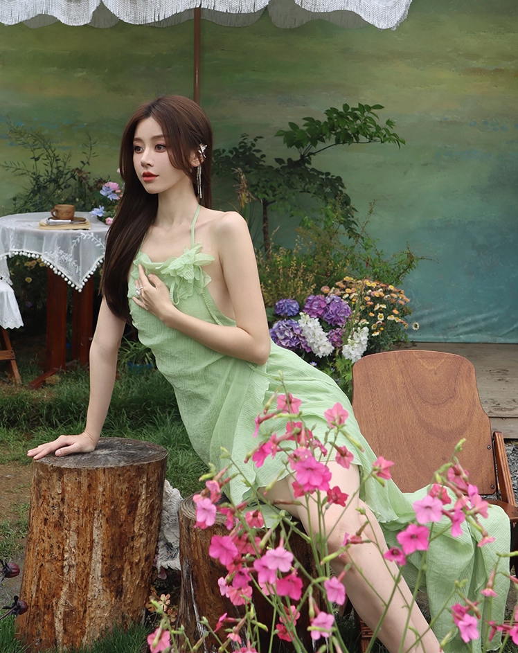 Vintage A-Line High-Slit Ruffles Trim Maxi Dress Dreamy 3D Floral Accent Backless Halter Long Dress AP3517